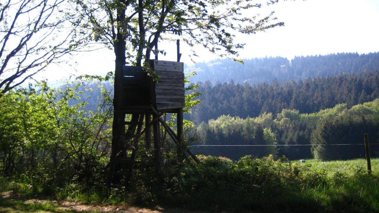 Fewo Marita Wimbach Exterior foto